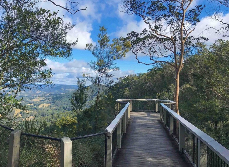 Picture 1 for Activity Noosa: Maleny & Montville Tour with Lunch & Wine Tasting
