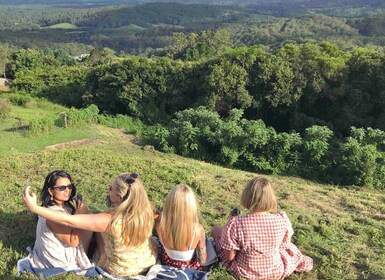 Noosa: Maleny & Montville-tur med lunsj og vinsmaking