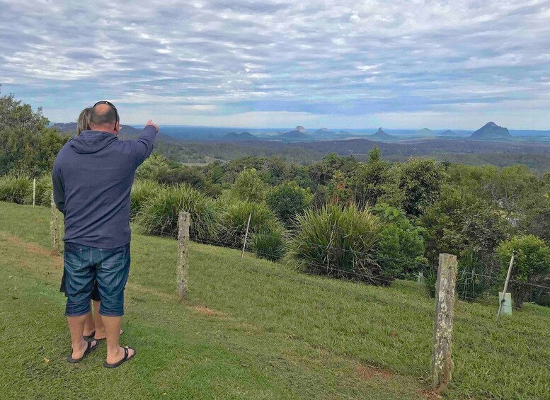 Picture 14 for Activity Noosa: Maleny & Montville Tour with Lunch & Wine Tasting