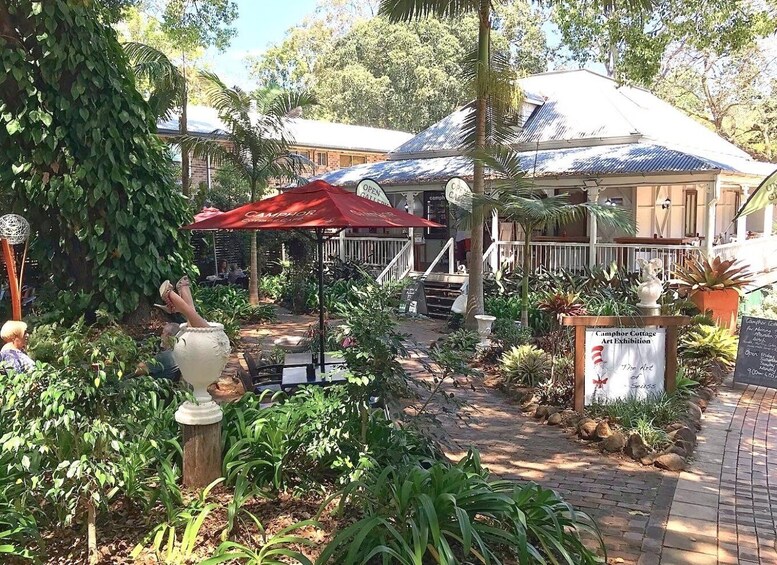 Picture 12 for Activity Noosa: Maleny & Montville Tour with Lunch & Wine Tasting