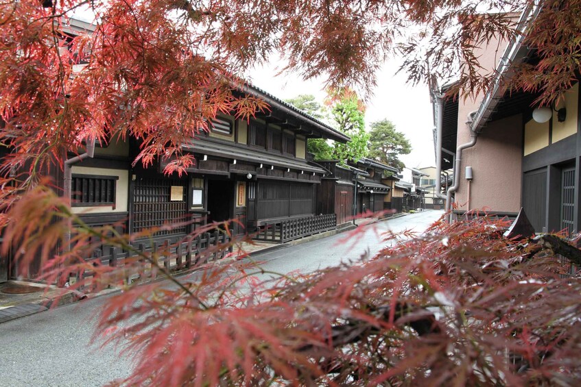 Picture 1 for Activity Takayama Full Day Tour (Private Guided)