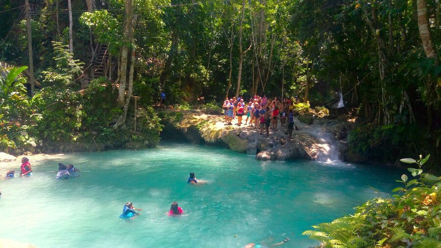 From Kingston: Blue Hole Swimming Experience in Ocho Rios
