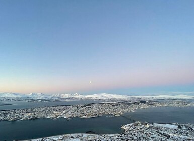 Tromso: Sightseeing Cruise by Catamaran with Snacks & Drinks