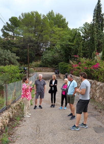 Picture 4 for Activity Full-Day Private Wine Tour to 3 unique Wineries in Mallorca