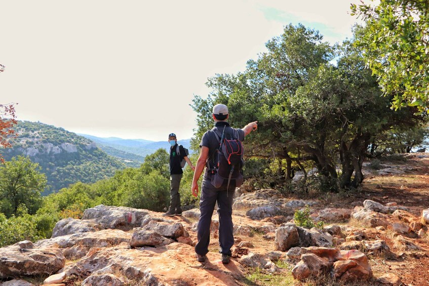 Picture 4 for Activity From Amman:Jerash, Ajloun cable car , Ajloun Castle,Reserve
