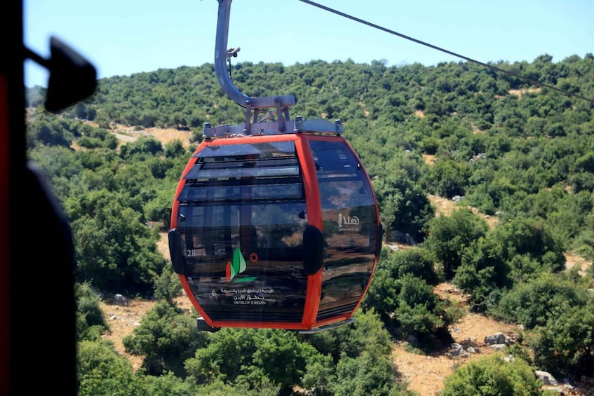 Picture 6 for Activity From Amman:Jerash, Ajloun cable car , Ajloun Castle,Reserve