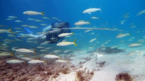 San Juan: Anfängertour zum Tauchen mit Schildkröten und Videos