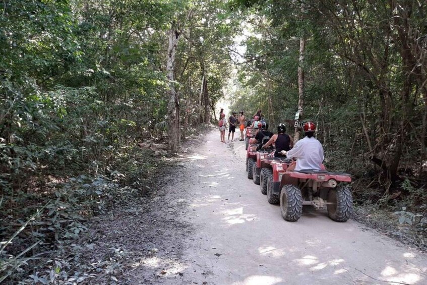 Picture 8 for Activity Atv´s Cenotes