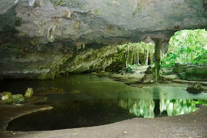 Picture 4 for Activity Atv´s Cenotes