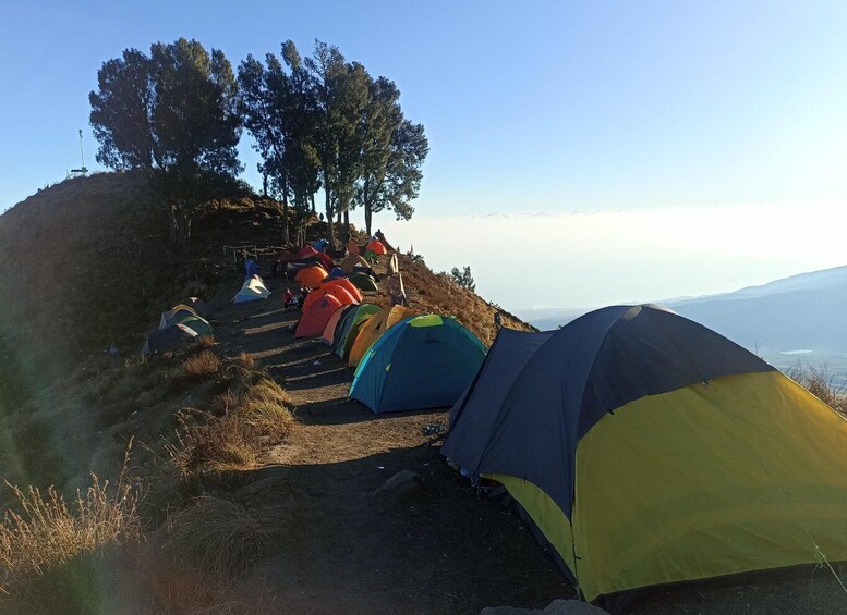 Picture 7 for Activity Mount Rinjani 3 Days 2 Nights Via Sembalun