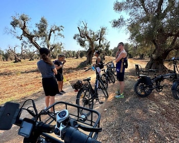 Brindisi: e-Bike trip to Torre Guaceto Nature Reserve