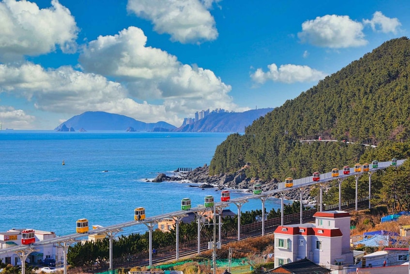 Picture 1 for Activity Busan: Coastal Wonders & Cultural Gems Tour with Sky Capsule
