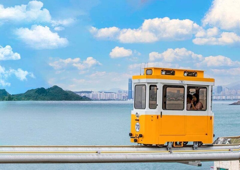 Busan: Coastal Wonders & Cultural Gems Tour with Sky Capsule