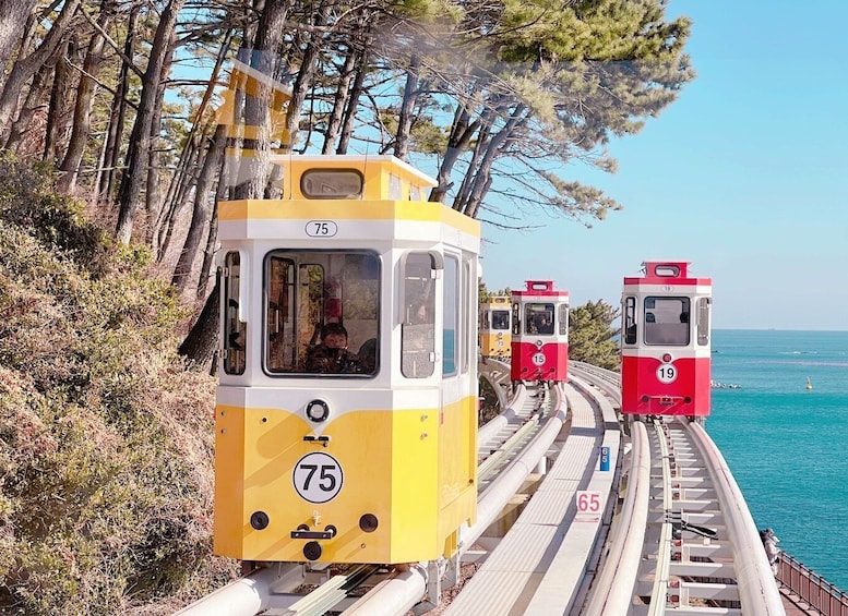 Picture 2 for Activity Busan: Coastal Wonders & Cultural Gems Tour with Sky Capsule
