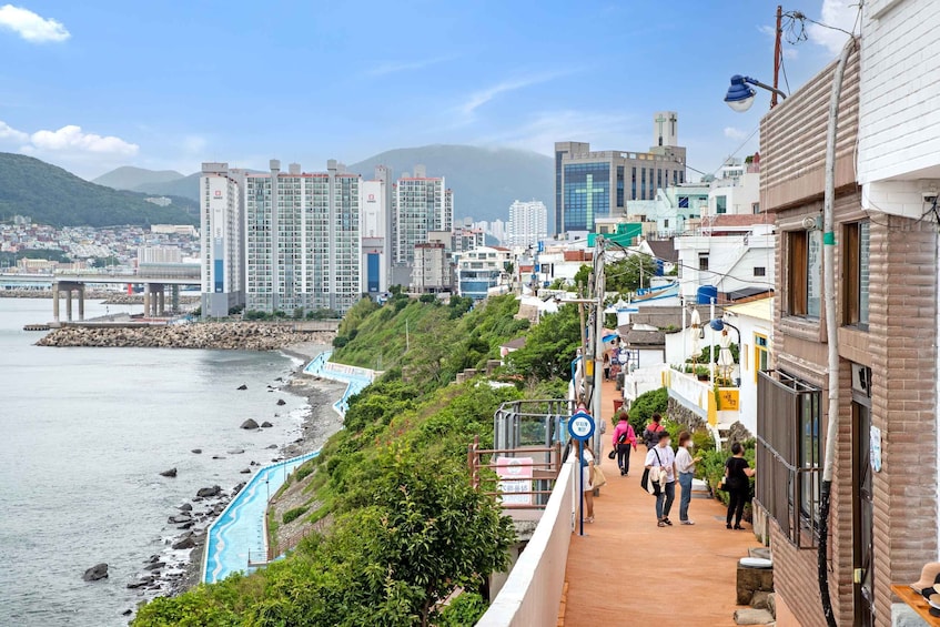 Picture 11 for Activity Busan: Coastal Wonders & Cultural Gems Tour with Sky Capsule