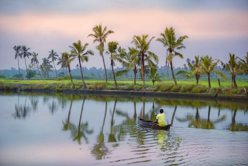 Picture 8 for Activity Alleppey Shikara boat ride