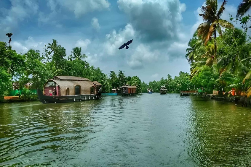 Picture 4 for Activity Alleppey Shikara boat ride