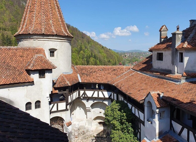 Picture 29 for Activity Peleș Castle, Bran Castles and Brasov City - Private Tour