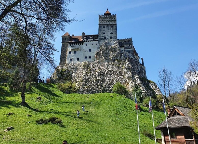 Picture 32 for Activity Peleș Castle, Bran Castles and Brasov City - Private Tour