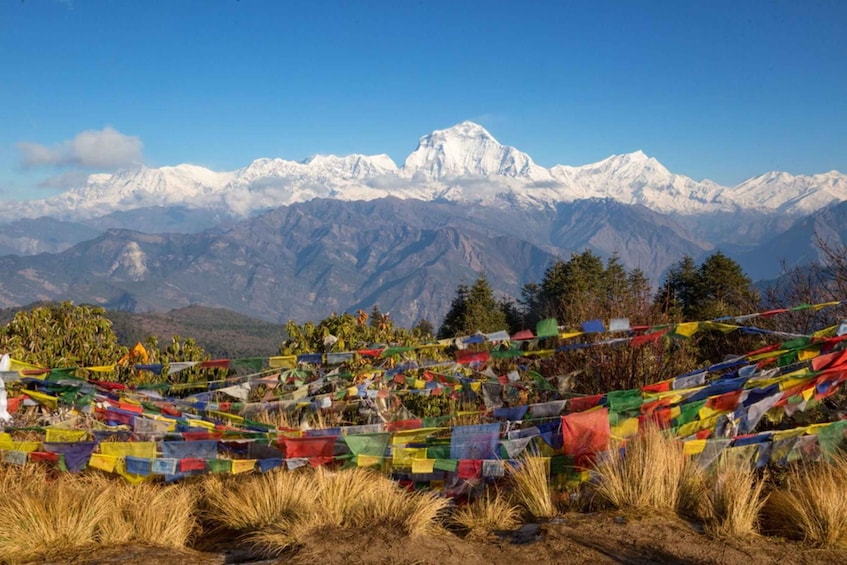 Picture 3 for Activity Poon-Hill Nepal
