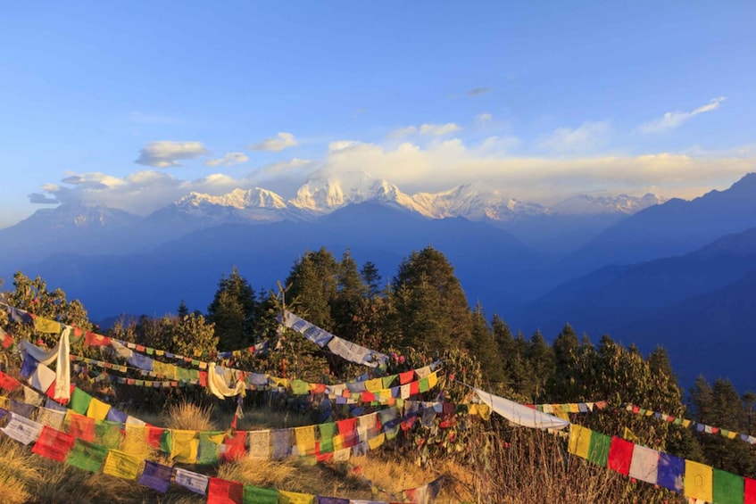 Picture 6 for Activity Poon-Hill Nepal