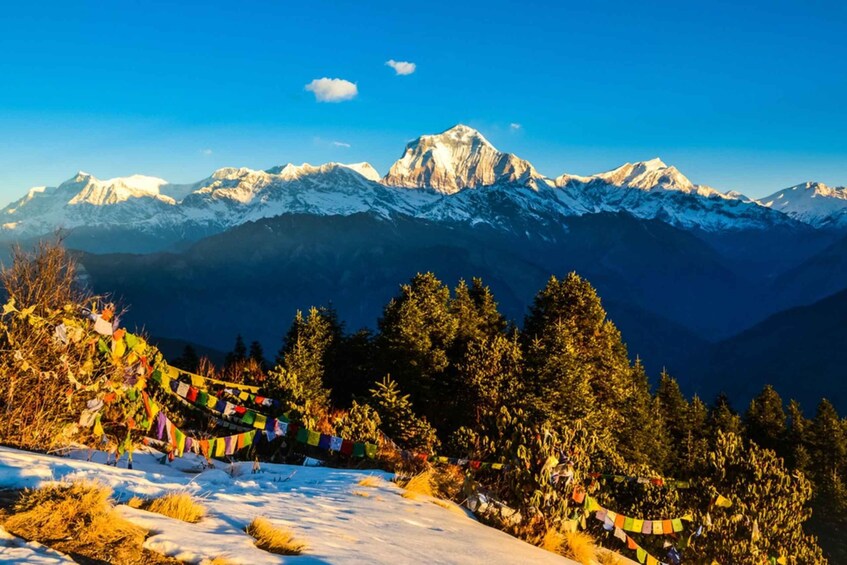 Picture 4 for Activity Poon-Hill Nepal