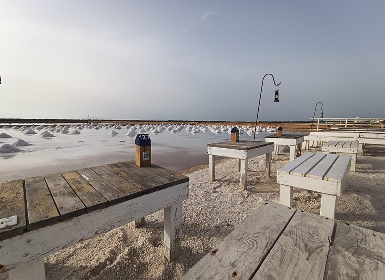 Picture 2 for Activity Aperitif in a old tub of salt in Marsala