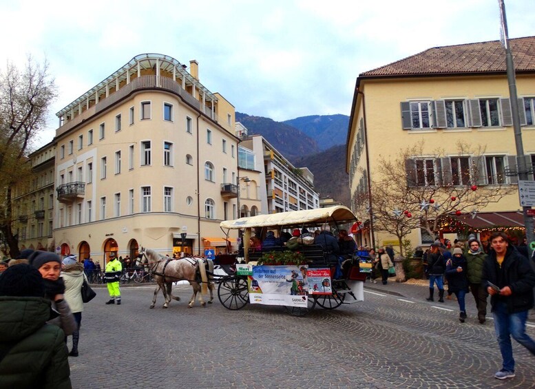 Bolzano private tour: picturesque town Sud Tyrol Dolomites