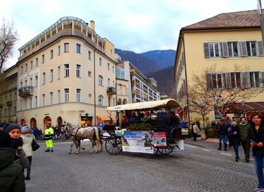 Bolzano privé excursion : ville pittoresque Sud Tyrol Dolomites