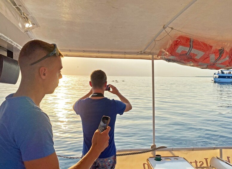 Picture 10 for Activity Fazana: Sunset Dolphin Cruise in Brijuni Park