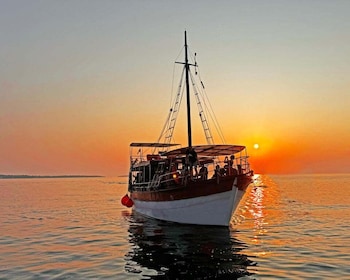 Fazana: Dolphin Finder in Brijuni islands Safari with Dinner