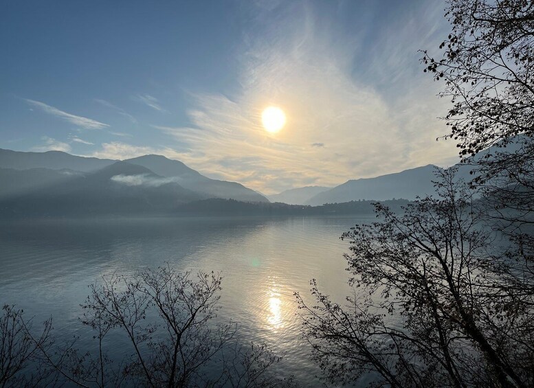 Picture 5 for Activity From Milan: Como, Bellagio, and Lugano Exclusive Boat Tour