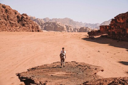 Desde Wadi Rum: elija un recorrido en jeep de 2 a 8 horas y comida opcional