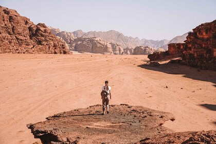 From Wadi Rum: Choose 2 to 8 Hour Jeep Tour & Optional Meal