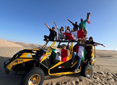 From Lima: Full-Day to Paracas, Ica and Oasis Huacachina