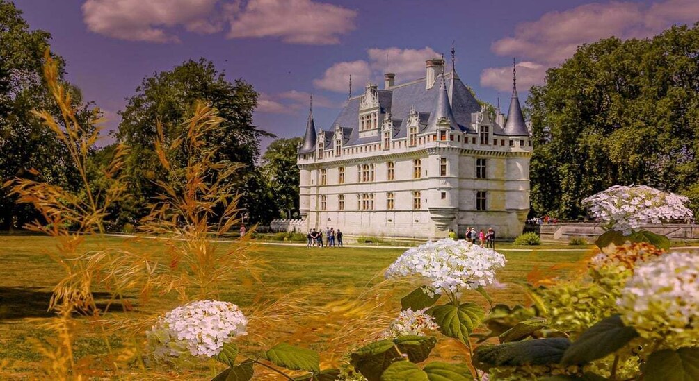 Picture 6 for Activity Azay-le-Rideau Castle: Private Guided Tour with Ticket