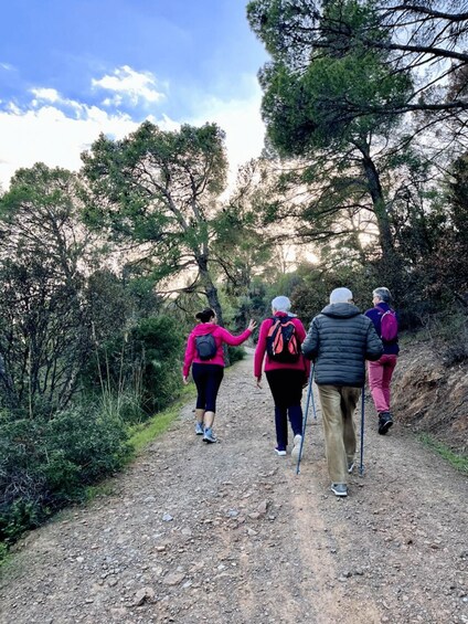 Picture 3 for Activity Sunset tour at a Domus de Janas & NatureTherapy