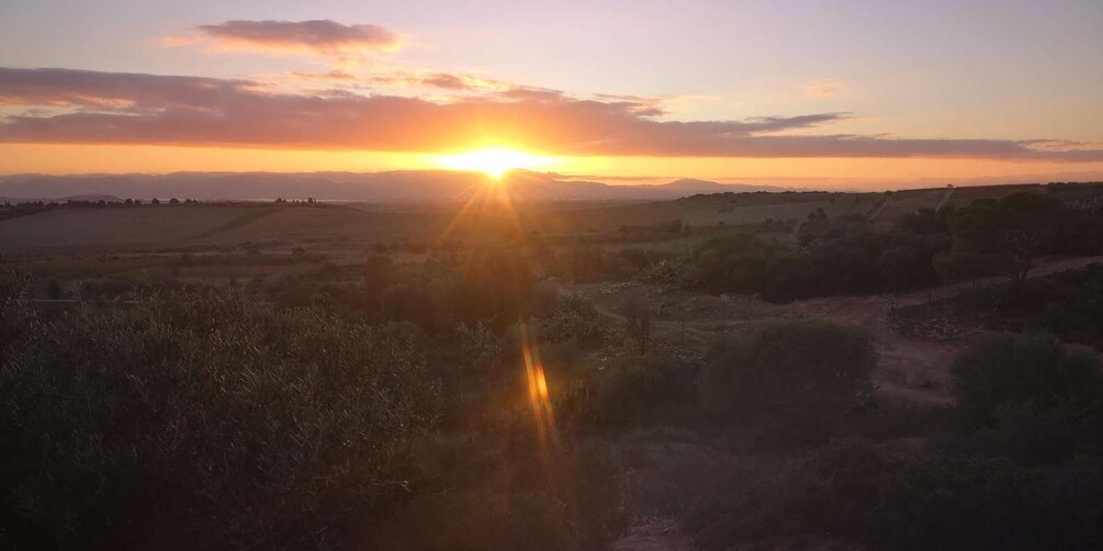 Picture 9 for Activity Sunset tour at a Domus de Janas & NatureTherapy