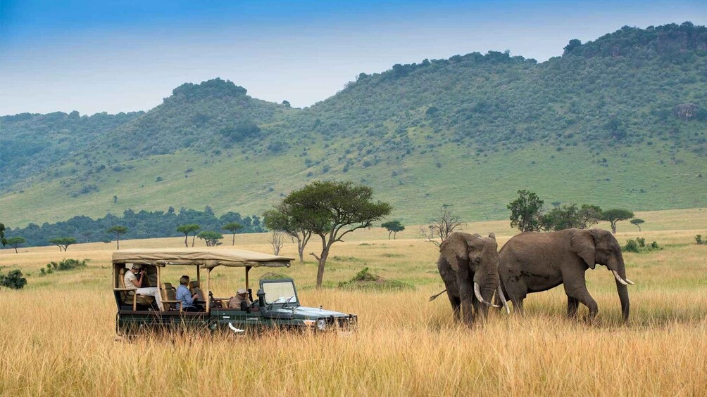 Picture 3 for Activity 6 Day Luxury Lodge Safari : Northern Tanzania