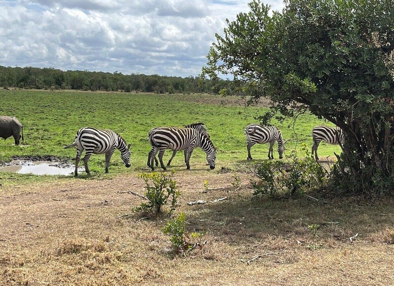 6 Day Luxury Lodge Safari : Northern Tanzania