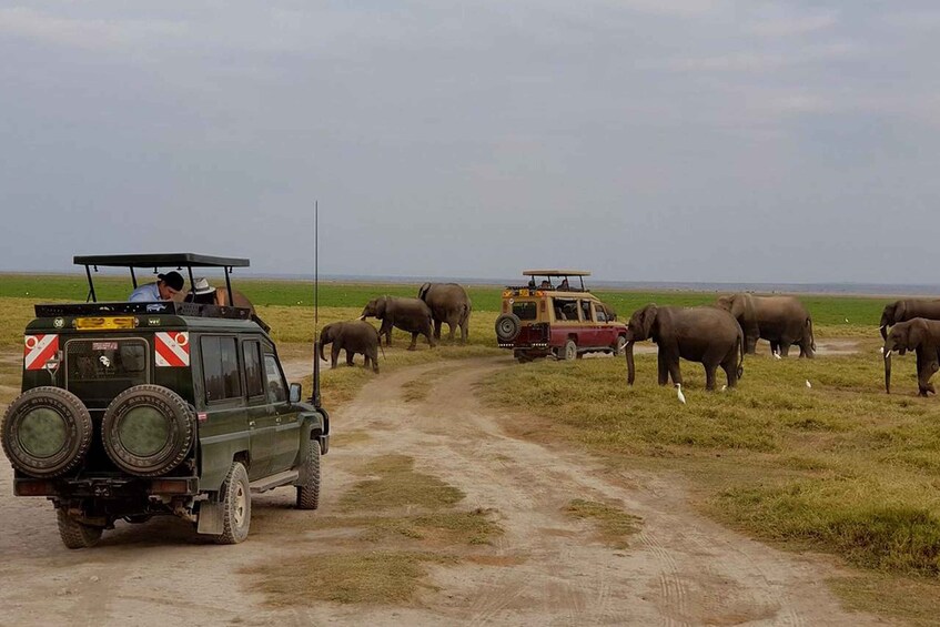 Picture 2 for Activity 6 Day Luxury Lodge Safari : Northern Tanzania