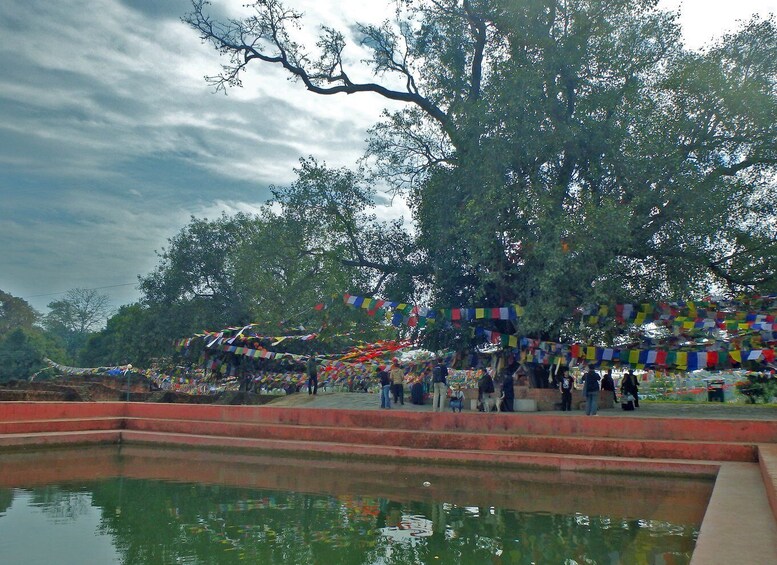 Picture 2 for Activity 1 Month Ayurveda Retreats in Lumbini, Nepal