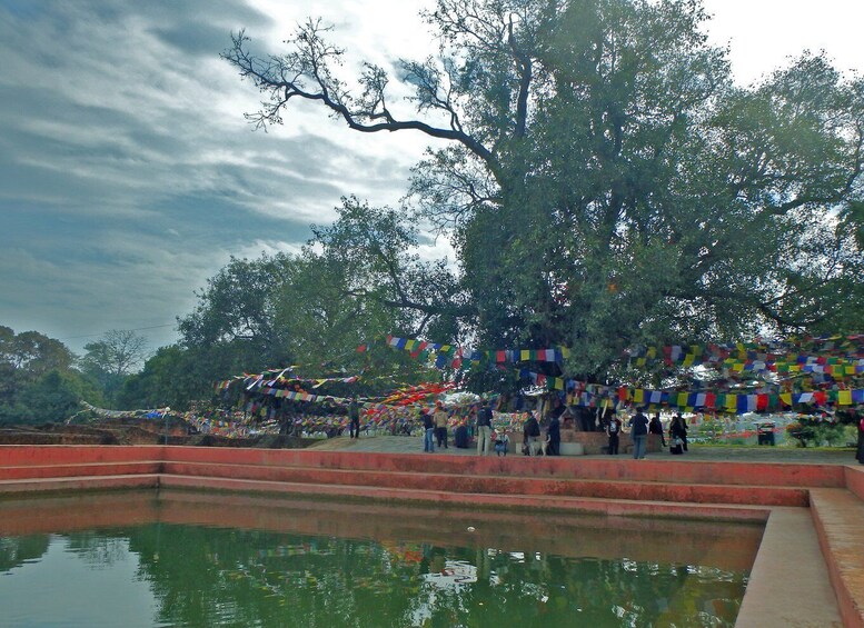 Picture 2 for Activity 1 Month Ayurveda Retreats in Lumbini, Nepal