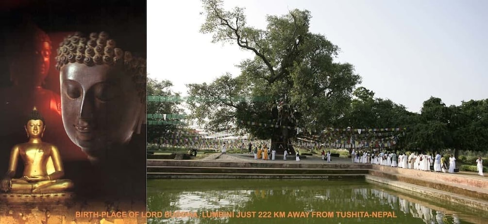 Picture 3 for Activity 1 Month Ayurveda Retreats in Lumbini, Nepal