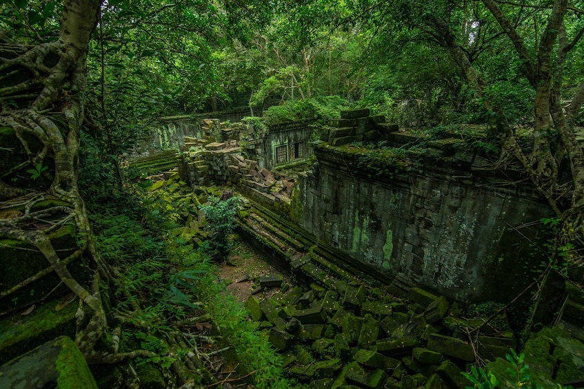 Picture 4 for Activity 3-Day Angkor Wat & All Interesting Temples With Beng Mealea