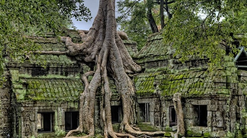 3-Day Angkor Wat & All Interesting Temples With Beng Mealea