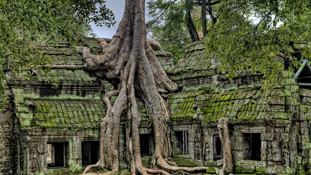 3-Day Angkor Wat & All Interesting Temples With Beng Mealea