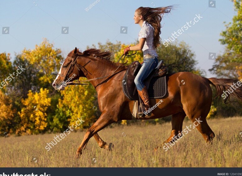 Picture 4 for Activity Camping in Kazakh Yurts, Horseriding, Barbecue from Almaty