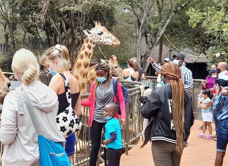 Elephant Orphanage and Giraffe Centre half Day Tour