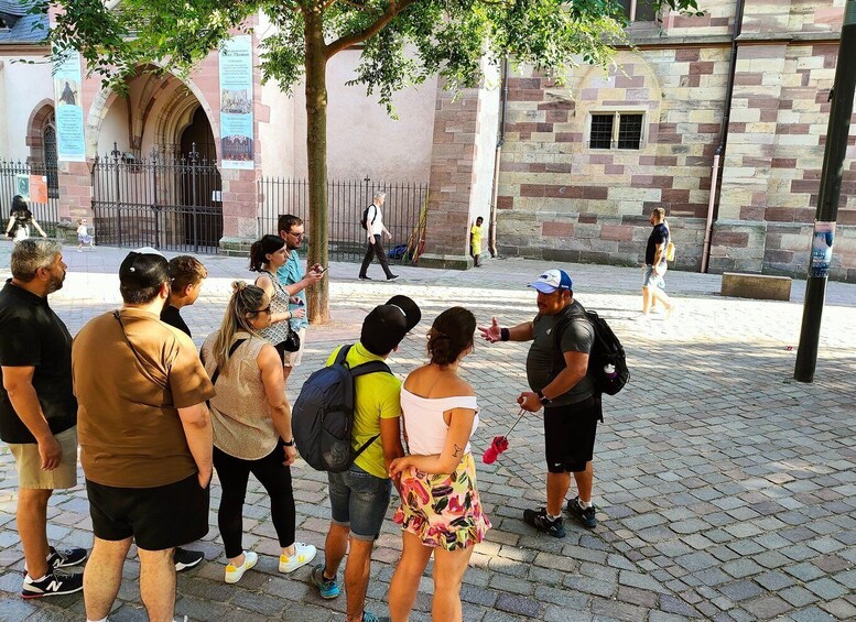 Picture 10 for Activity Strasbourg: city walking tour